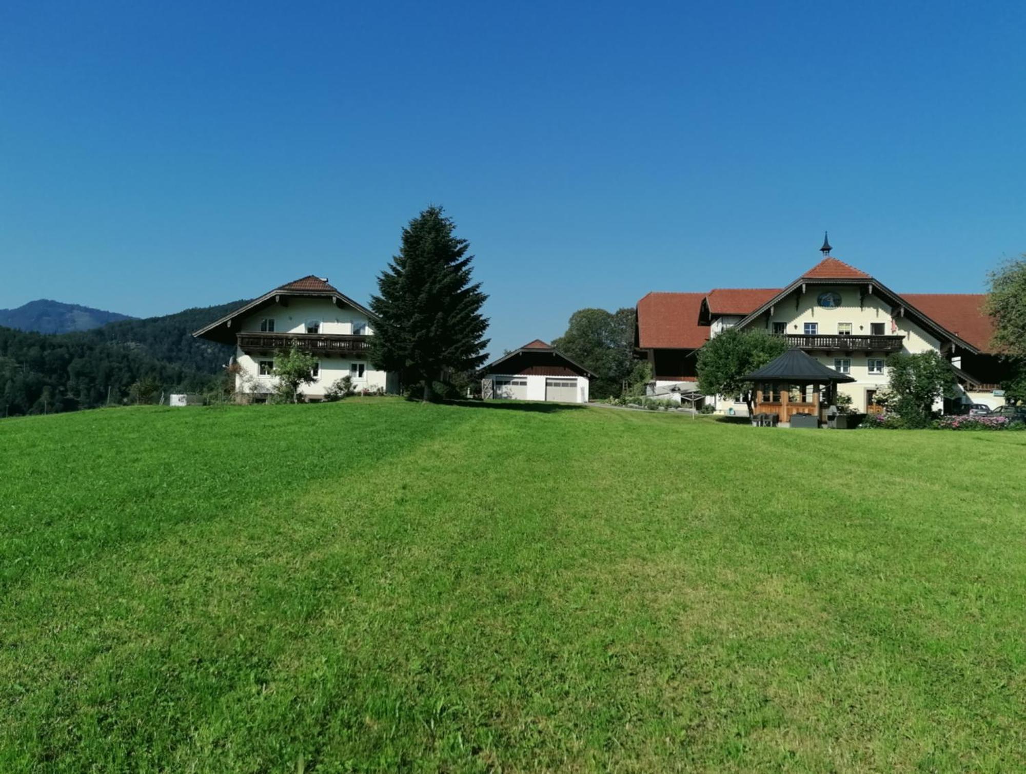 Vordergschwandtgut Apartment Faistenau Exterior photo